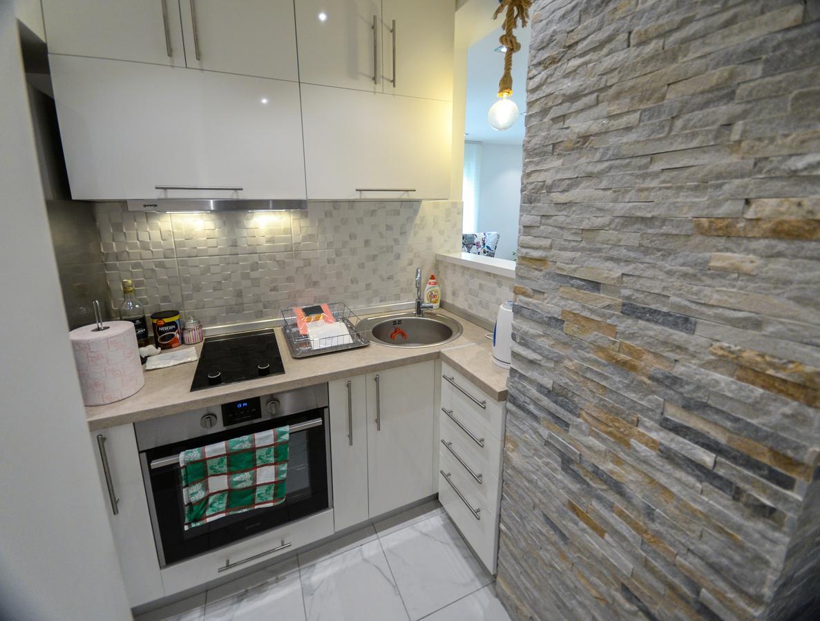Srecko Exclusive Apartment Belgrado Esterno foto